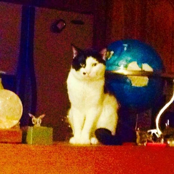 Meet your Posher, Michael - Picture 1 of 1